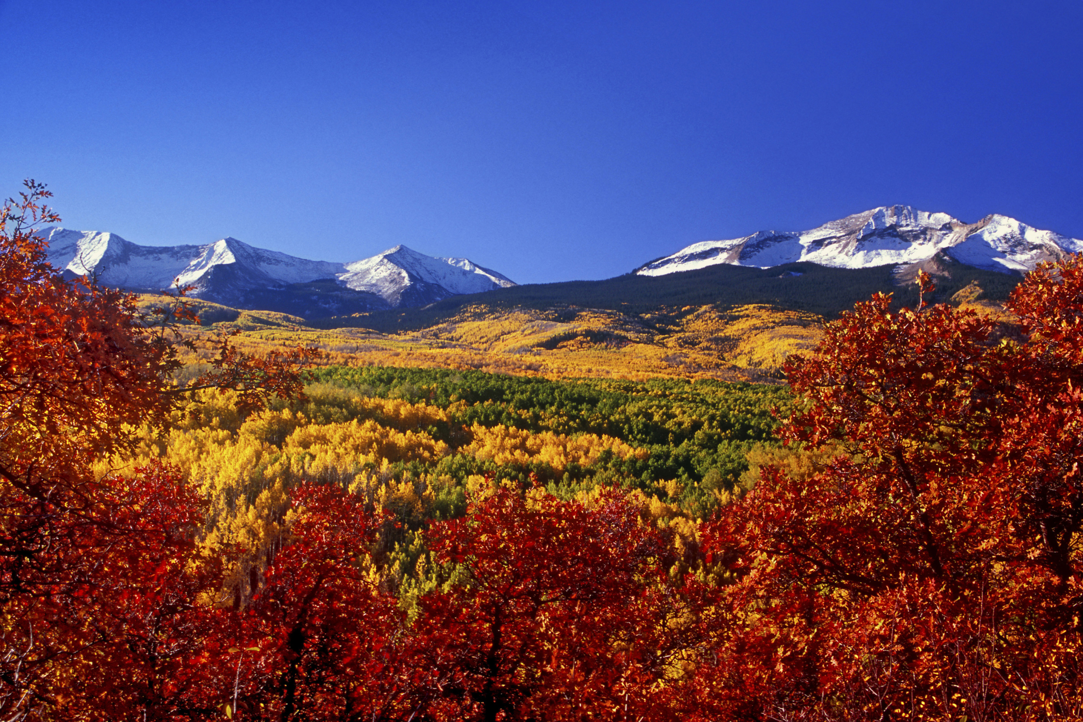 kebler Pass, CO, between Crested Butte and Paonia, photo by Dave Watson