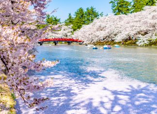 The best Aomori spring adventure for skiers and boarders
