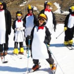 penguins_on-snow_val-tho_7313aeb7