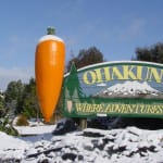 OhakuneCarrot