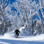 Steve Lee on his own signature backcountry tour at Falls Creek