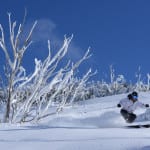 Kerry Lee Dodd in the powder on the signature backcountry tours at Falls Creek