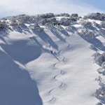 Baldy Hollow freshies Mt Hotham