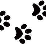 paws-2