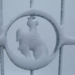 Jackson-Hole-September-Snow-3