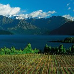 Rippon Vineyard, Wanaka 2