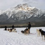 dog_sled