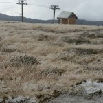 Snowfall 2May16_Mt Buller