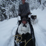 dog sledding sun peaks