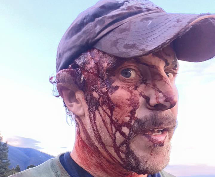 Grizzly bear attacks man in Montana, he films grim results