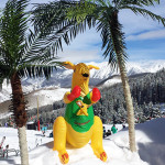 Australian-Kangaroo-Vail-Mountain