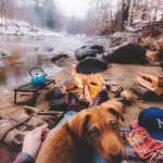 campingwithdogs2