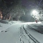 @mt_buller