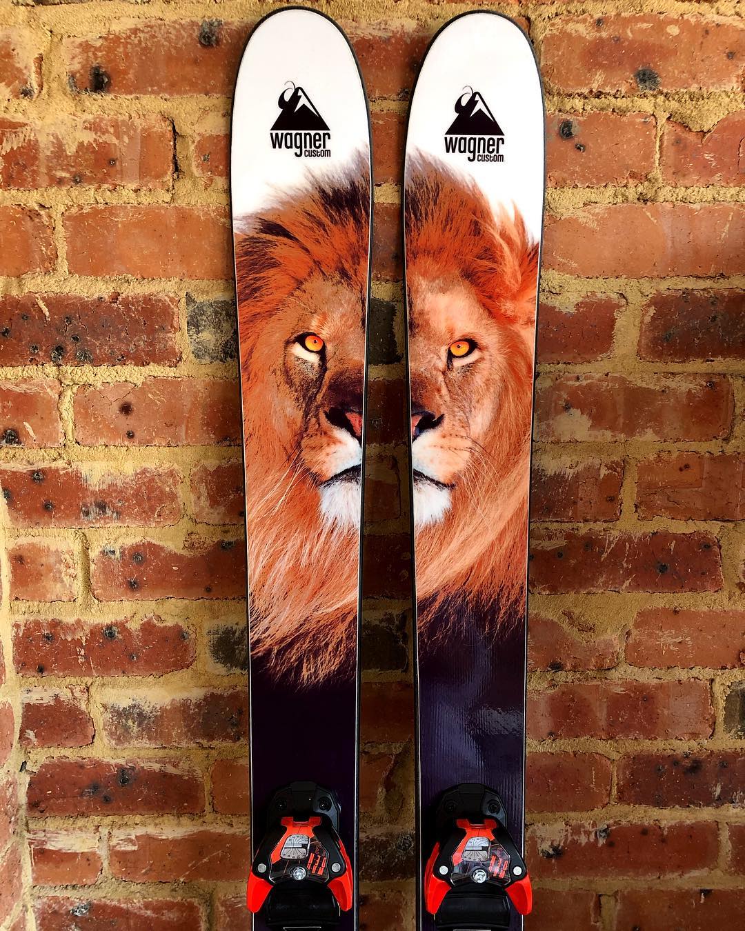 wagner lions wagner lions