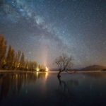 That Wanaka Tree Milky Way – JL
