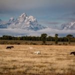 tetons-20170917-AS-IMG_0013