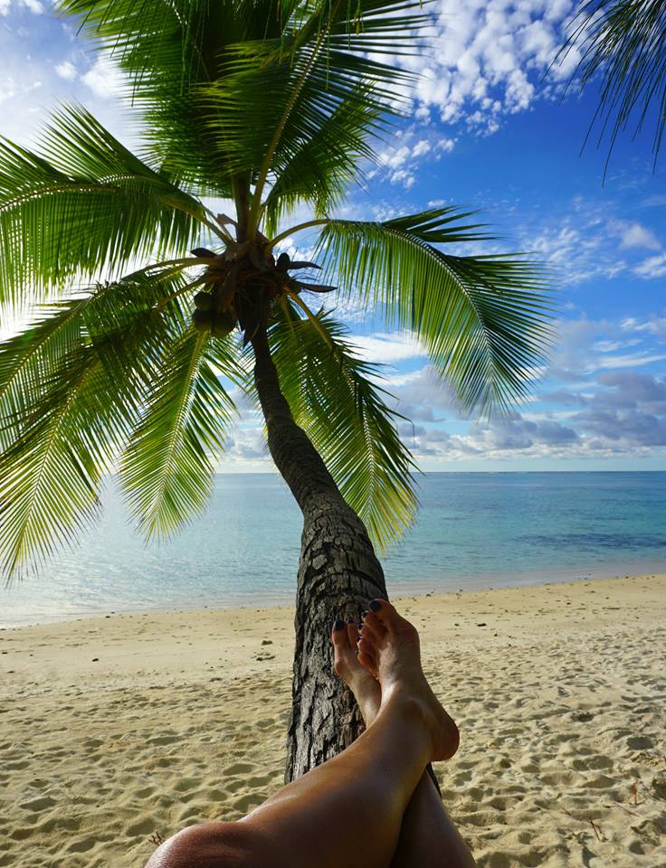 cook islands tree