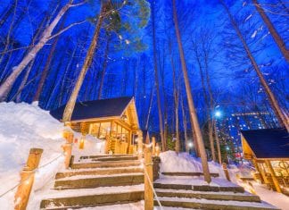 Insider guide to snow travel in Furano, Japan furano