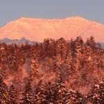 dsc07478-2a