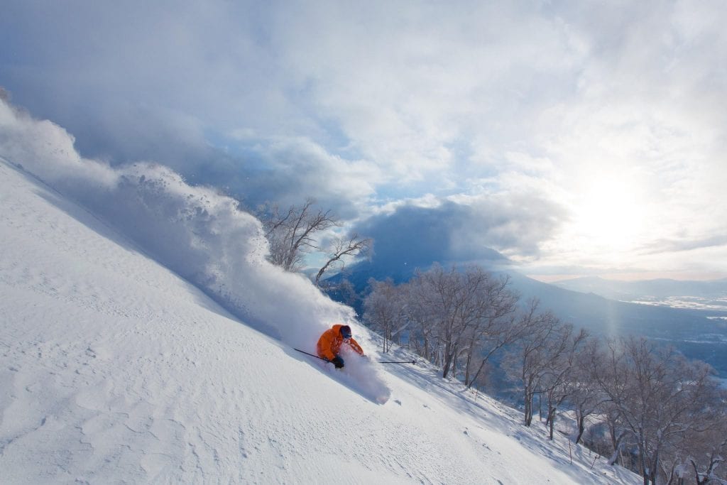niseko niseko