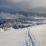 shutterstock_497249020