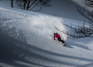 Where to go cat skiing in Japan for first tracks every time