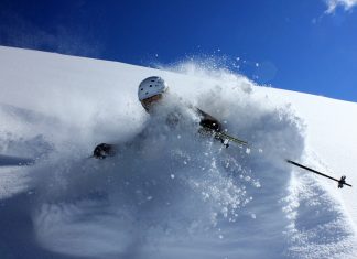 Relive the SnowsBest year that was 2017
