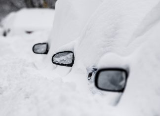 Best videos from the snow internet in the week that was