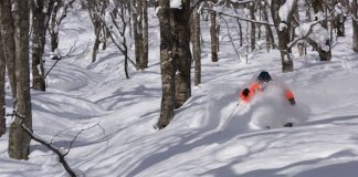 Two ski resorts in Japan you haven’t heard of, but should