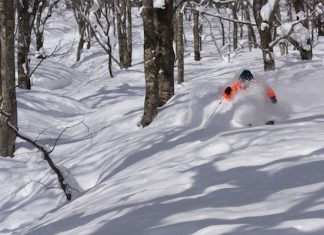Two ski resorts in Japan you haven’t heard of, but should