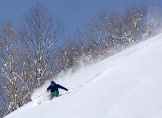 Shizukuishi, five syllables for untracked skiing in Japan