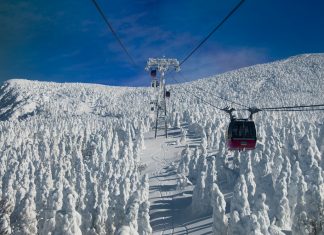 I skied Japan before you did, no really, I did