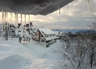 Why you need to ski Madarao in Japan before everyone else Aya Lodge Madarao
