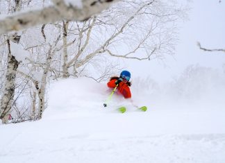 Central Hokkaido – why it’s your first Japowder stop when borders open!