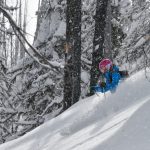 Female Skier, Trees, Craig McGee