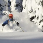Male Skier, Powder, Trees, Danny Stoffel