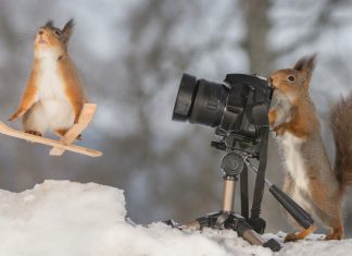Ski Google, 10 funny searches that led people to our site
