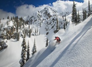 What kind of skier or boarder are you?