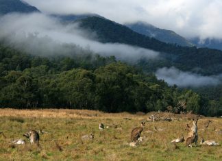 Multi million dollar hiking and MTB track in the Snowy Mountains kosciuszko national park