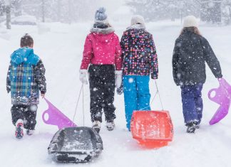 Toboggangate, how Thredbo’s toboggan ban set the internet alight