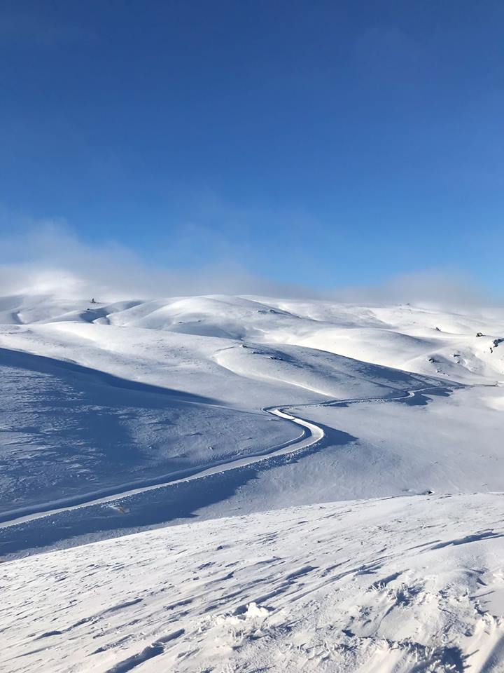 Snow Farm New Zealand