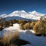 Turoa Shutterstock