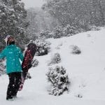 loving the fresh snow Saturday in Thredbo 18 August