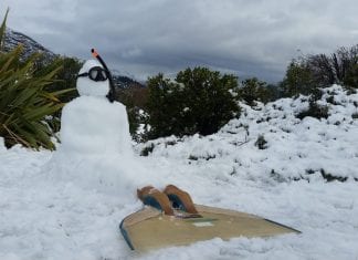 20 hilarious snowmen from New Zealand’s snow storm