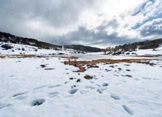 A spring dusting ahead for Australian and New Zealand ski resorts