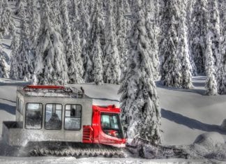 Where to get your cat skiing on this winter