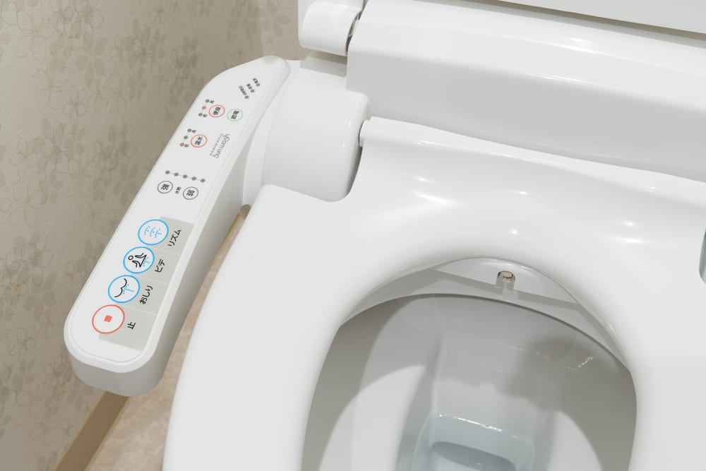 How to pee in a toilet in Japan, a guide for the novice | SnowsBest