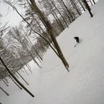 miyuki snowsorts trees