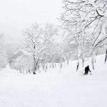 miyuki snowsports