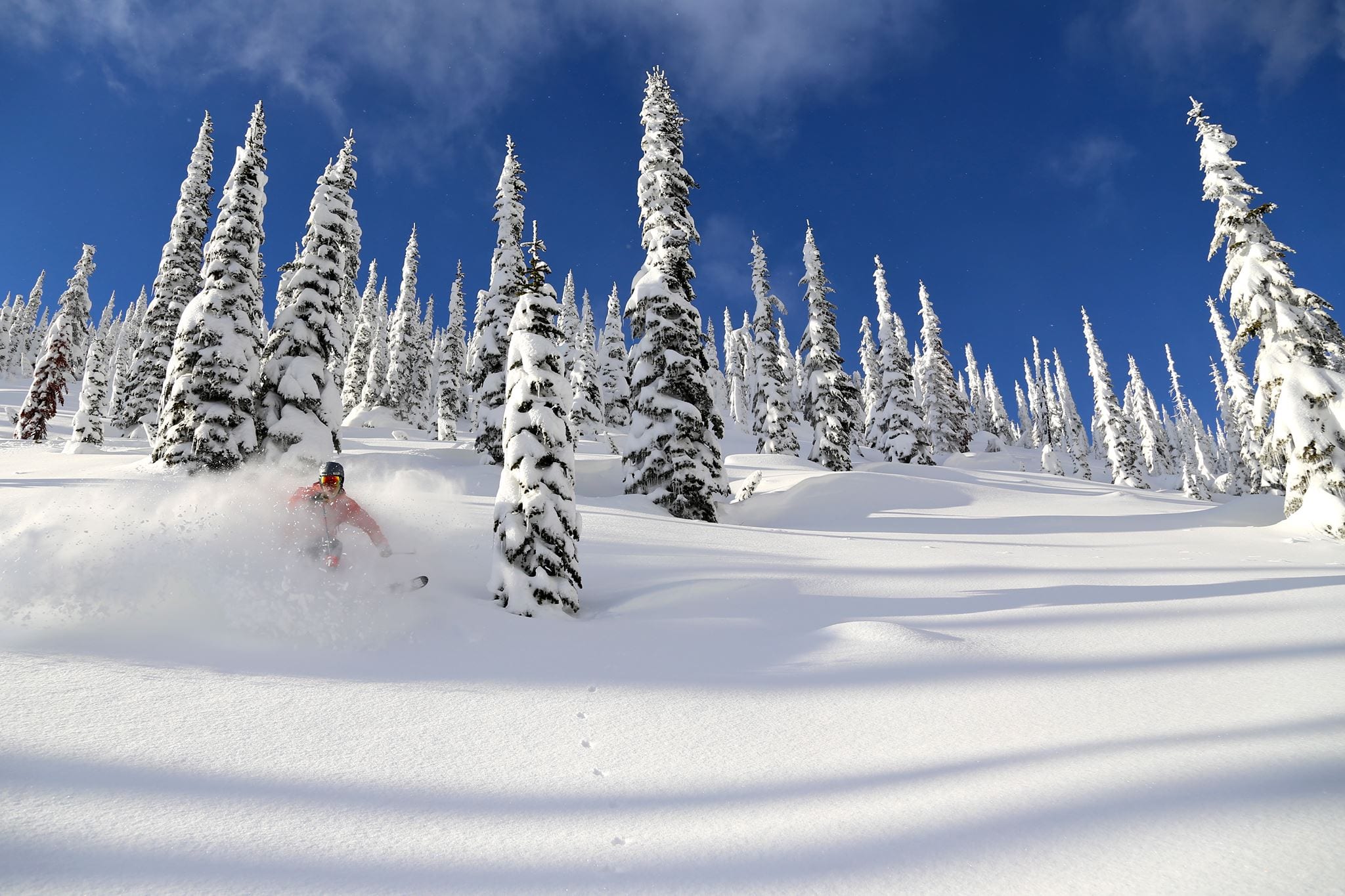 whitewater ski